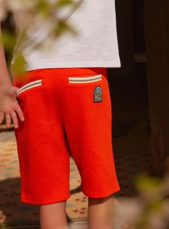 Sergent Major Bermuda-Bermuda Orange
