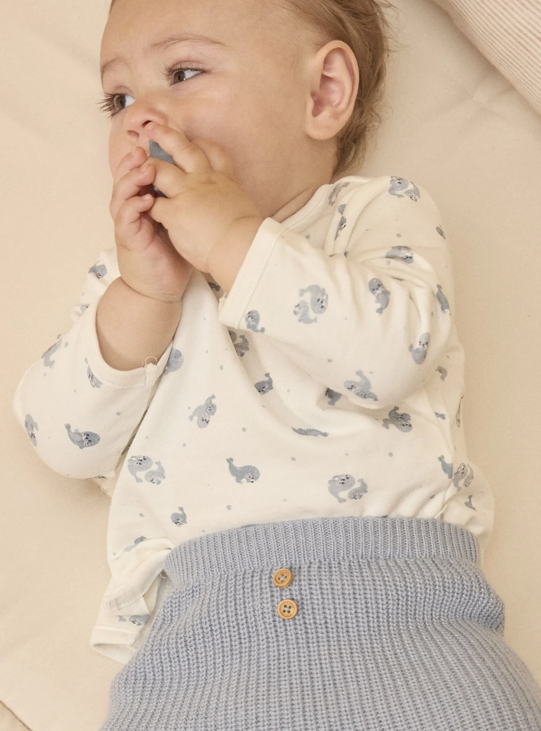 Sergent Major Tenues & Ensembles-Ensemble de jour sweat + pantalon + chaussettes