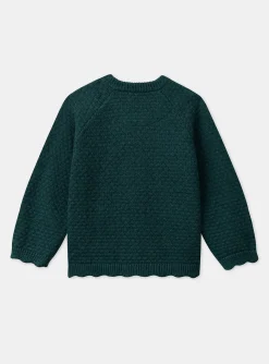Sergent Major Pull, Gilet & Cardigan-Gilet en maille  vert
