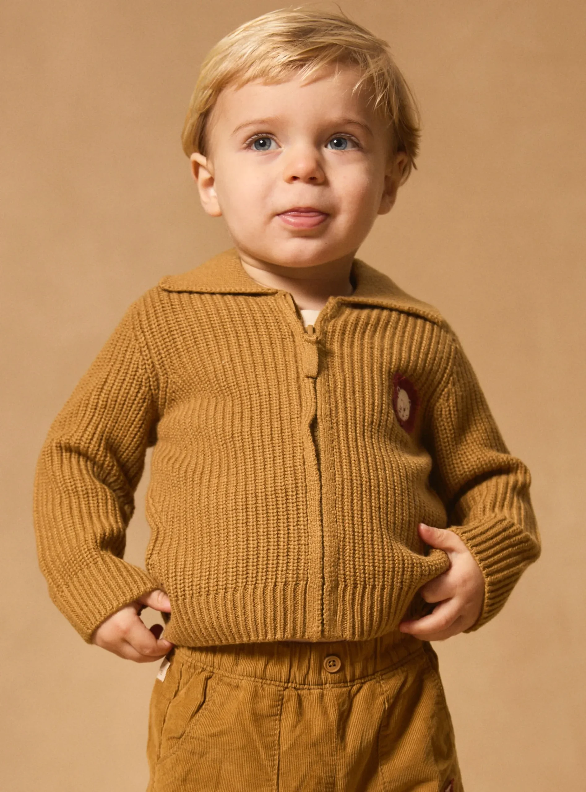 Sergent Major Pull, Gilet & Cardigan-Gilet zippé à col