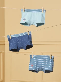 Sergent Major Sous-vêtement & Chaussettes-Lot de 3 boxers Dino