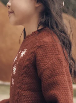 Sergent Major Pull, Gilet & Cardigan-Pull brique &agrave; manches longues