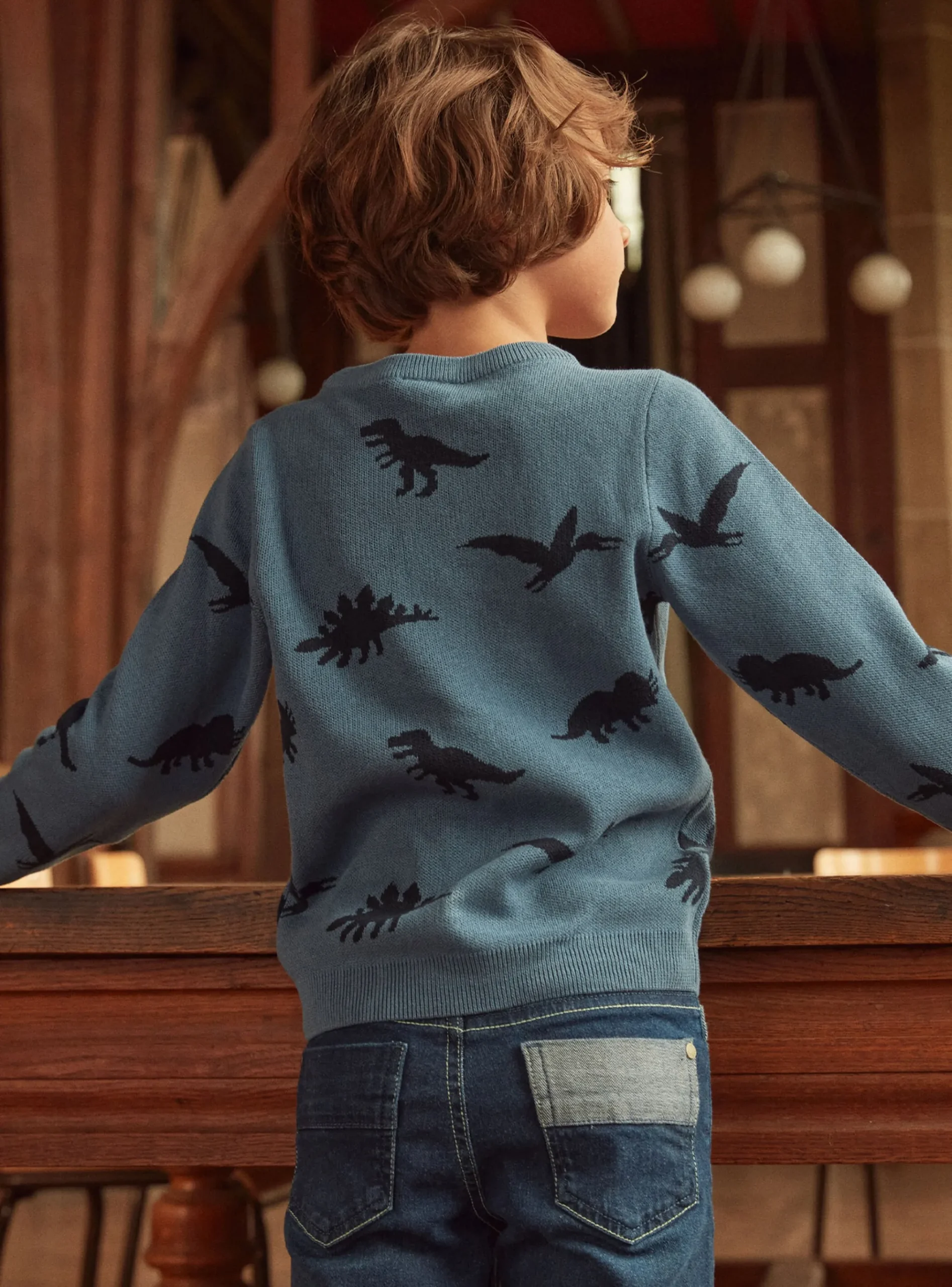 Sergent Major Pull, Gilet & Sweat-Pull Jacquard Dino