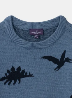 Sergent Major Pull, Gilet & Sweat-Pull Jacquard Dino