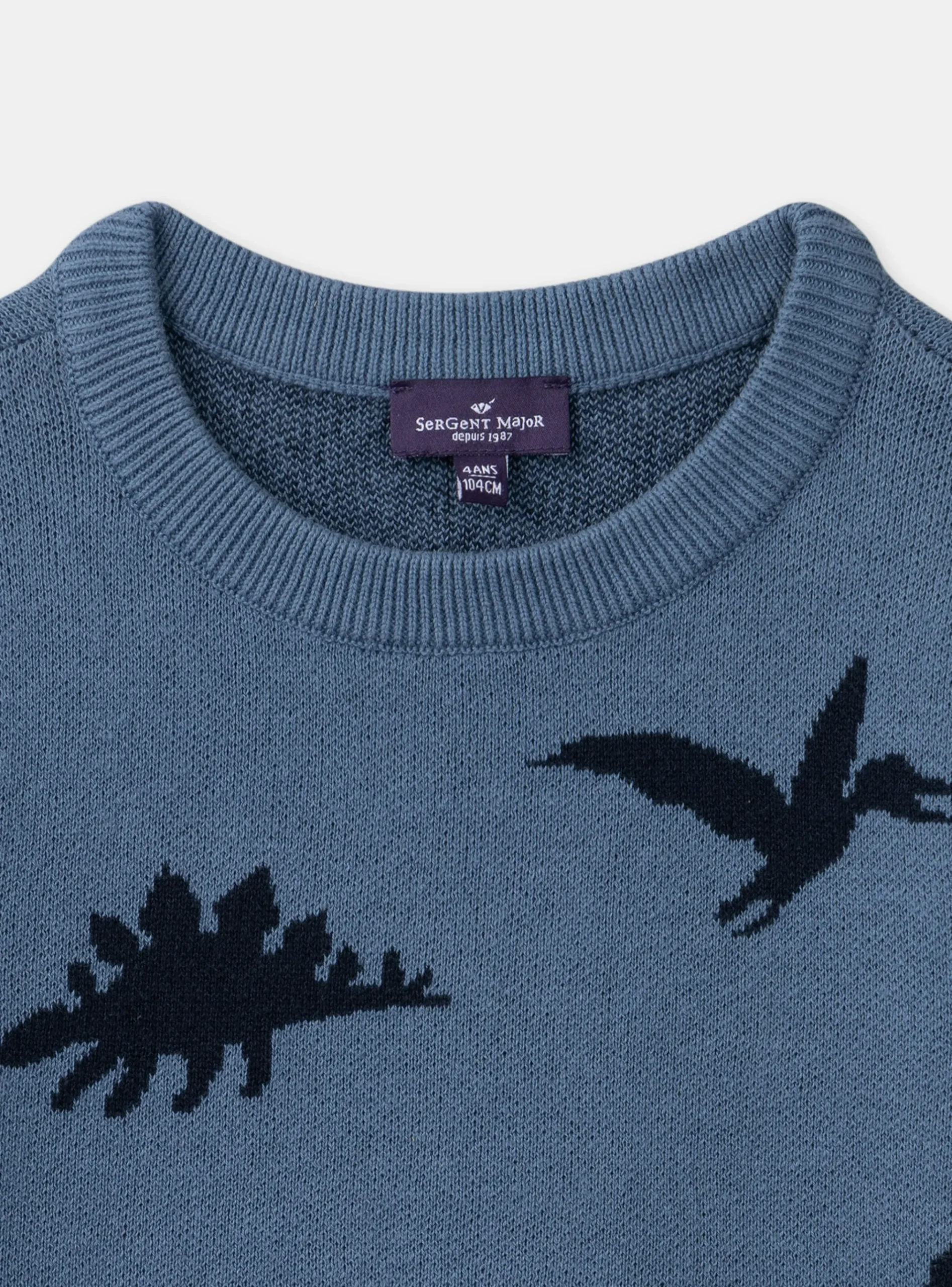 Sergent Major Pull, Gilet & Sweat-Pull Jacquard Dino