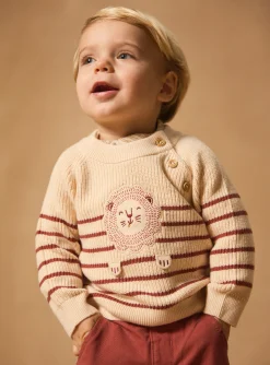Sergent Major Pull, Gilet & Cardigan-Pull rayé lion