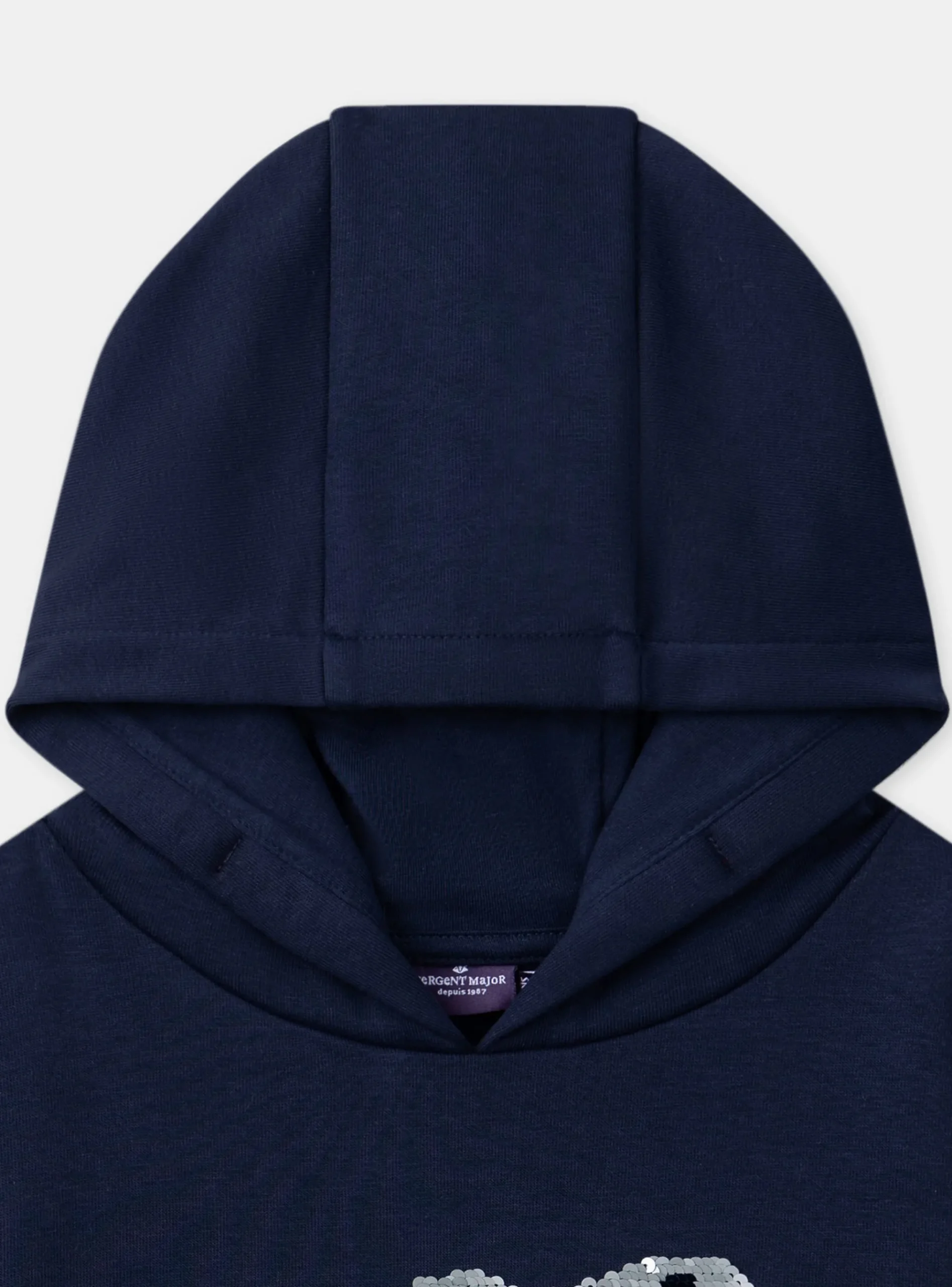 Sergent Major Pull, Gilet & Sweat-Sweat à capuche Dinosaure