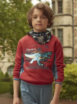 Sergent Major Pull, Gilet & Sweat-Sweat dino &agrave; sequins