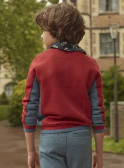 Sergent Major Pull, Gilet & Sweat-Sweat dino &agrave; sequins