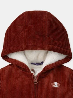 Sergent Major Manteau, Parka & Veste-Veste Marron